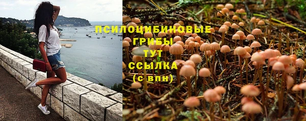 экстази Алексеевка