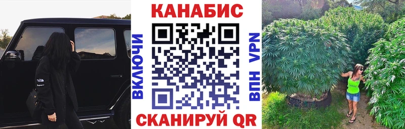 Шишки марихуана Amnesia  Купить где  Старый Крым 